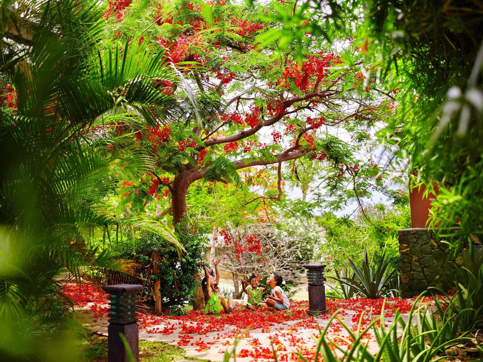 Iloha Seaview Hotel แซ็งต์-เลอ ภายนอก รูปภาพ